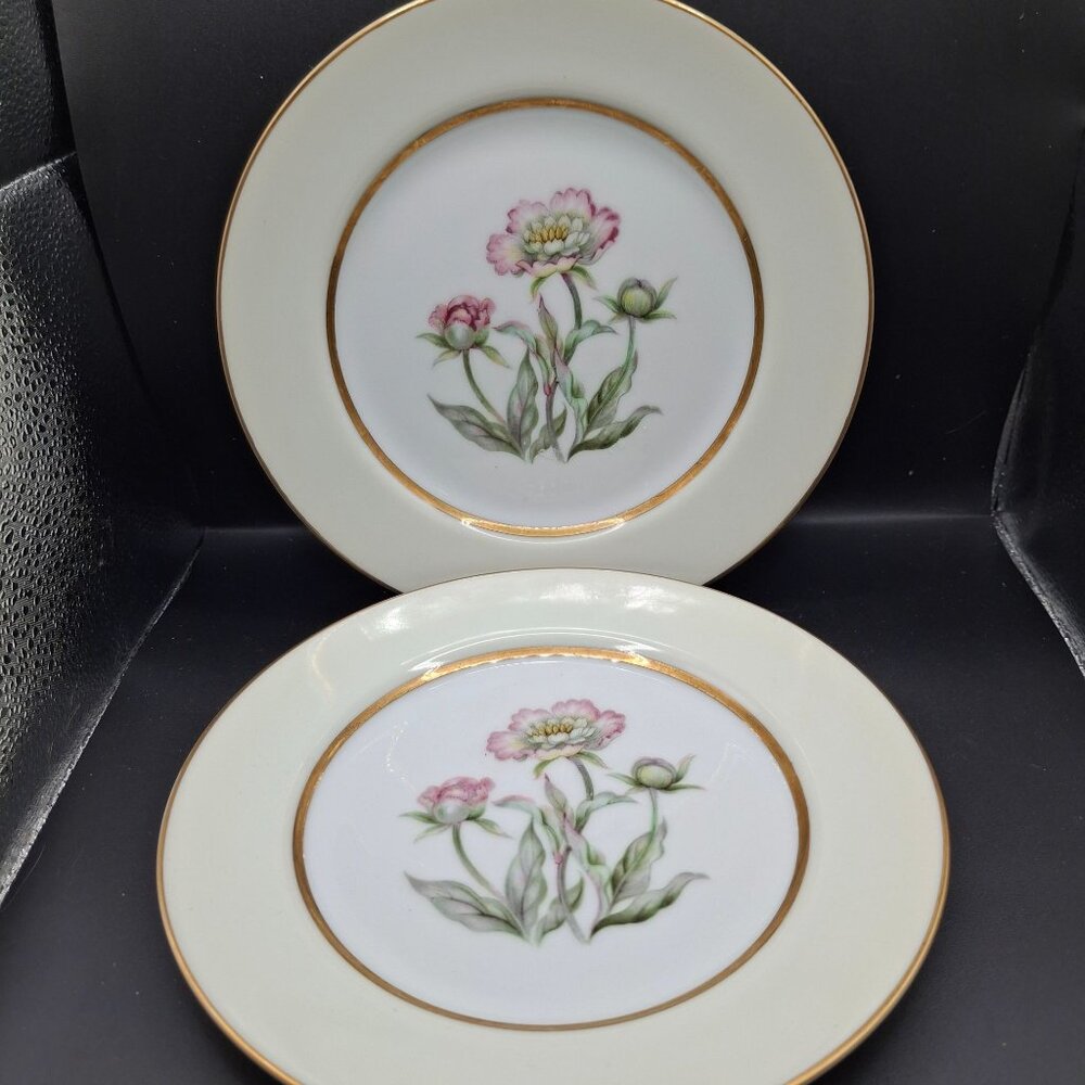 Vintage Mikado Japan China Harmony Set of 2 Salad/Desert Plates  7 1/2 inch